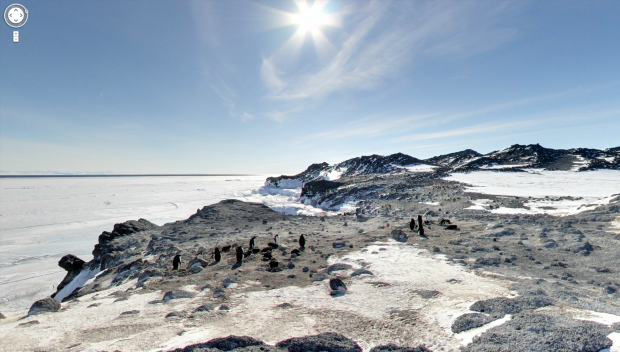 Pinguinkolonie in der Antarktis (Quelle: Google Street View / Screenshot: Golem.de)
